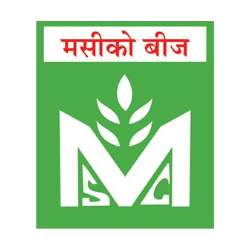 loader image